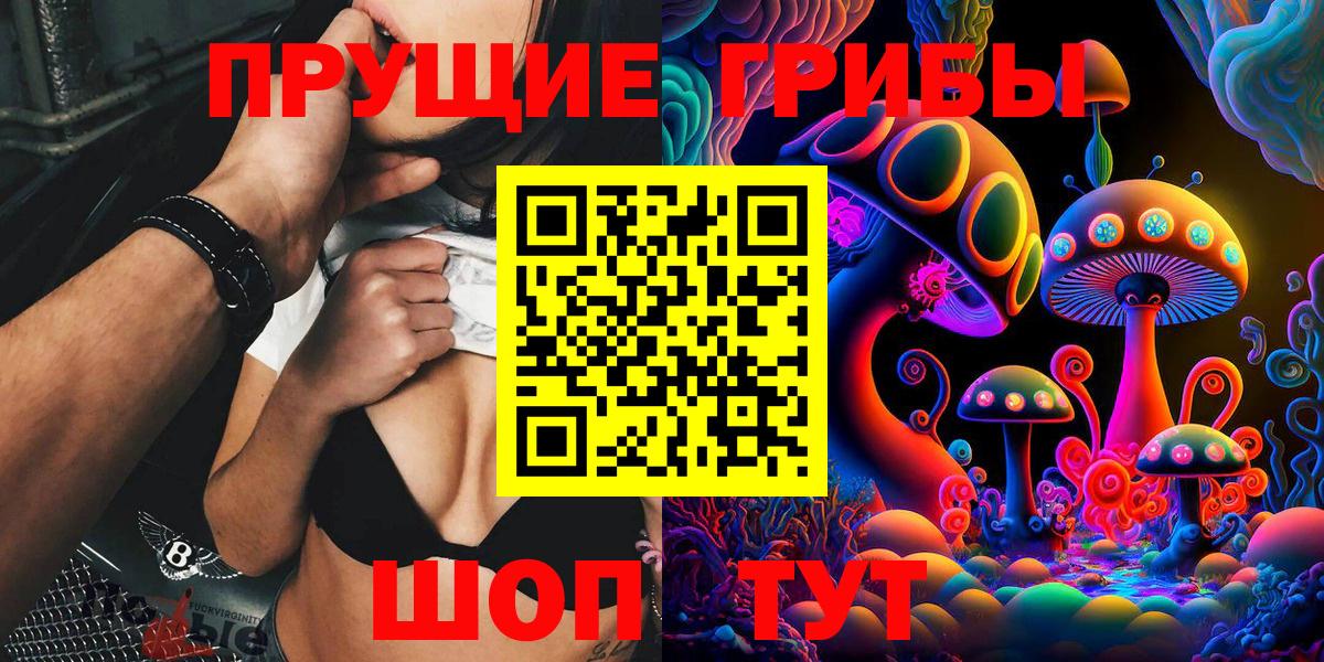 Псилоцибиновые грибы Psilocybine cubensis Киров